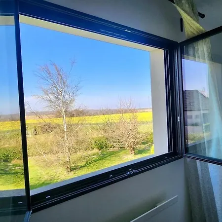 Maison De Famille Proche De La - Grand Jardin Et Terrasse A Saint-Martin-aux-Buneaux